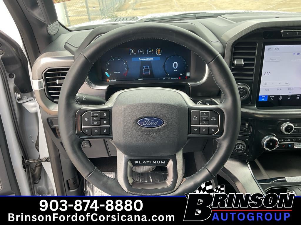 2025 Ford F-150 Platinum