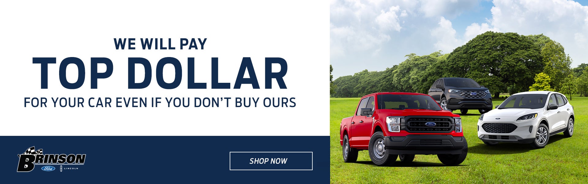 WE WILL PAY TOP DOLLAR FOR YOUR CAR